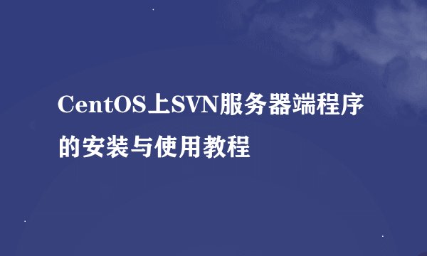 CentOS上SVN服务器端程序的安装与使用教程