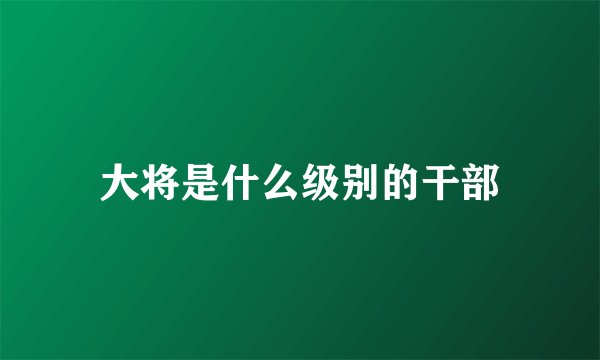 大将是什么级别的干部