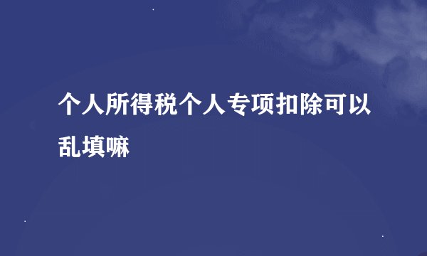 个人所得税个人专项扣除可以乱填嘛