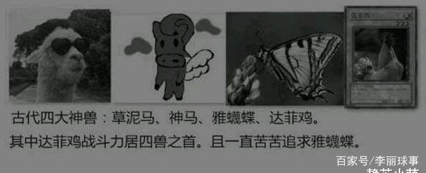 初中学历史课有没有用,历史课是选修课吗?