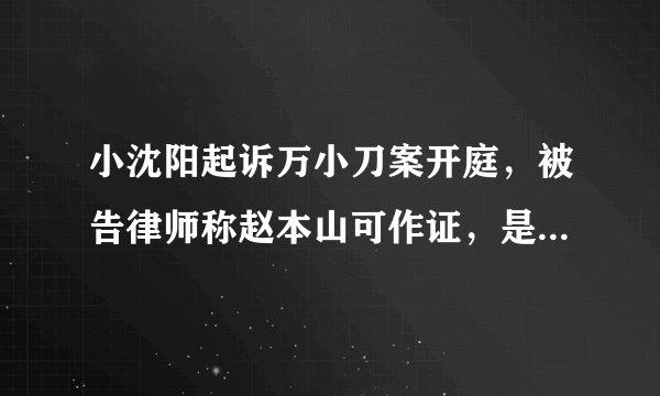 小沈阳起诉万小刀案开庭，被告律师称赵本山可作证，是什么事件？
