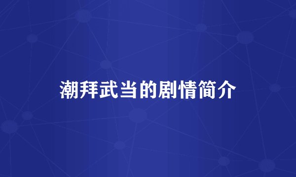 潮拜武当的剧情简介