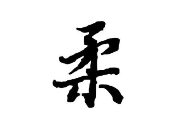 rou拼音一到四声对应的汉字