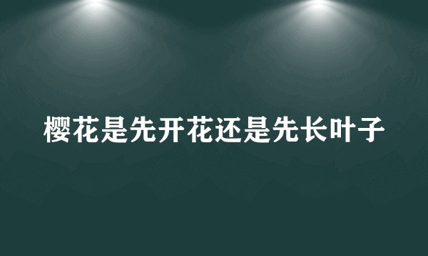樱花是先开花还是先长叶子