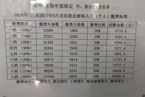 2023年灵活就业缴费档次