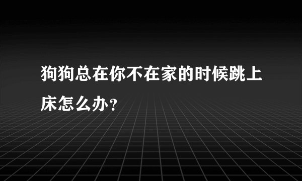 狗狗总在你不在家的时候跳上床怎么办？
