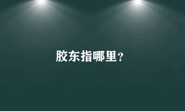 胶东指哪里？