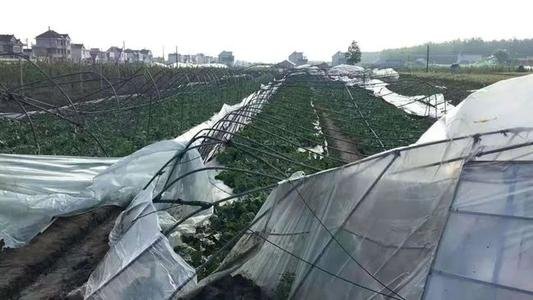 南通突遭极端灾害天气,目前已致11人死亡,当地采取了什么措施?