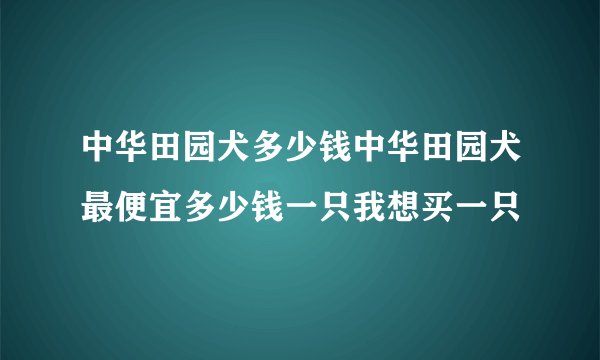 中华田园犬多少钱中华田园犬最便宜多少钱一只我想买一只