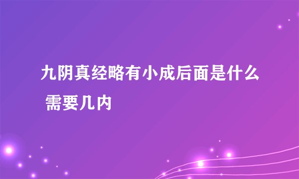 九阴真经略有小成后面是什么 需要几内