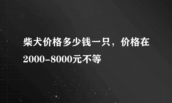 柴犬价格多少钱一只，价格在2000-8000元不等