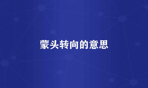 蒙头转向的意思