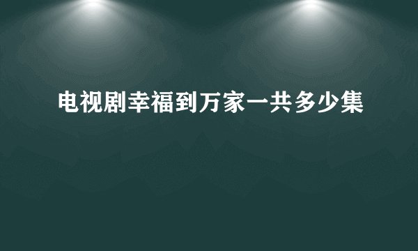 电视剧幸福到万家一共多少集