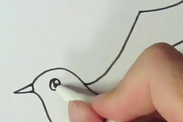 如何画鸽子