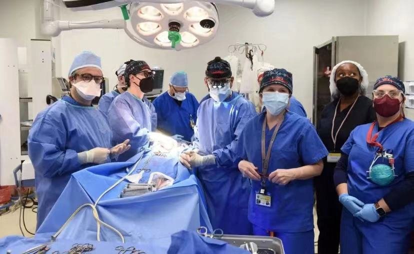 corpus在医学是什么意思
