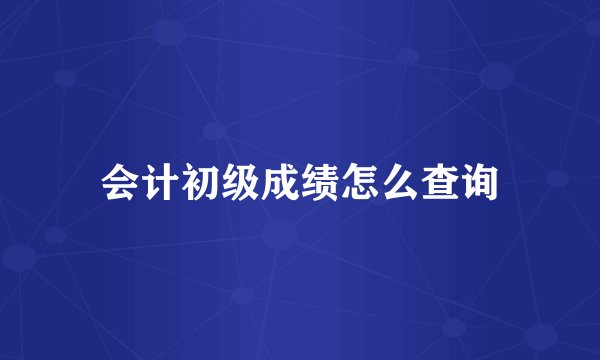 会计初级成绩怎么查询