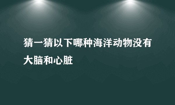 猜一猜以下哪种海洋动物没有大脑和心脏