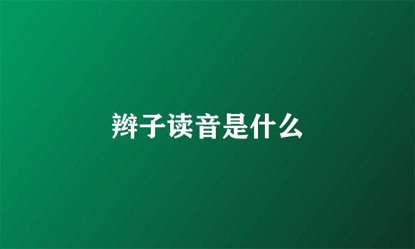 辫子读音是什么