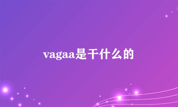 vagaa是干什么的