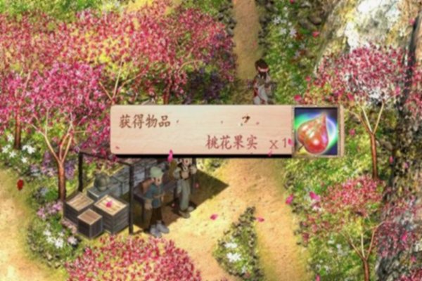 绝代双骄3 桃花果实的秘密