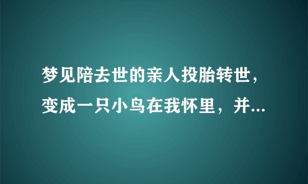 梦见陪去世的亲人投胎转世，变成一只小鸟在我怀里，并护送回家。清明了，暗示点什么呢？