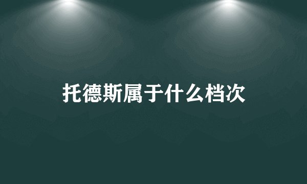 托德斯属于什么档次