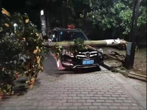 南通突遭极端灾害天气,目前已致11人死亡,当地采取了什么措施?