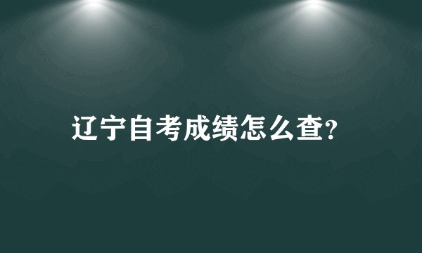 辽宁自考成绩怎么查？