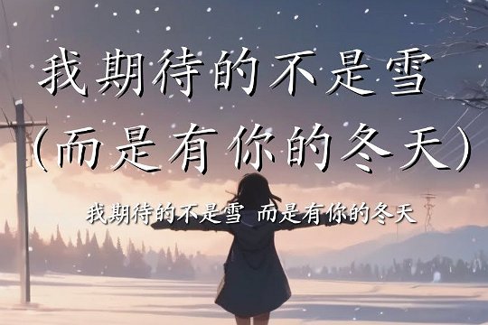 我期待的不是雪 歌词