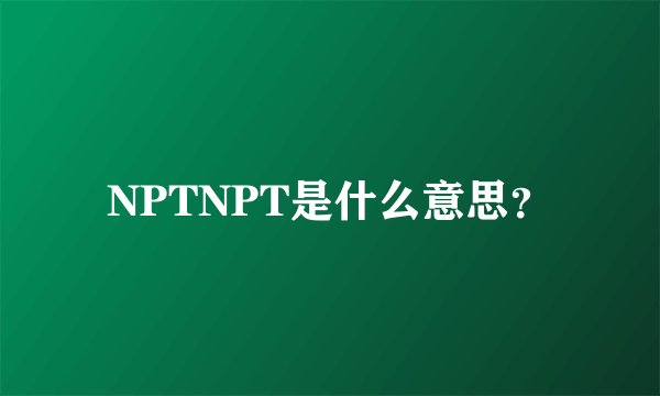 NPTNPT是什么意思？