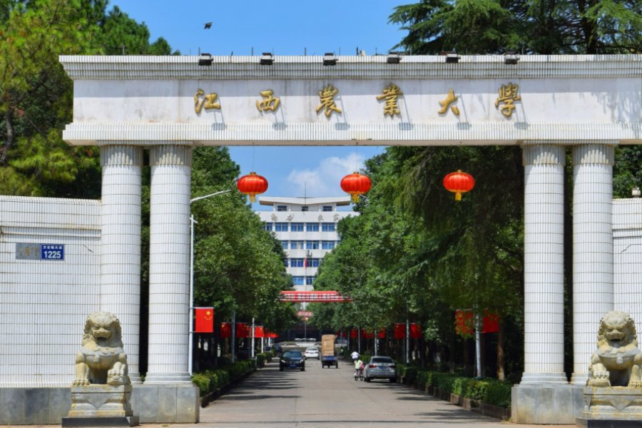 本科一批是什么意思?