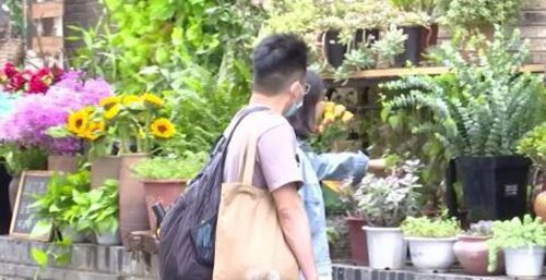 24小时自助花店两年没丢一盆花,是由于市民的素质越来越高了吗?
