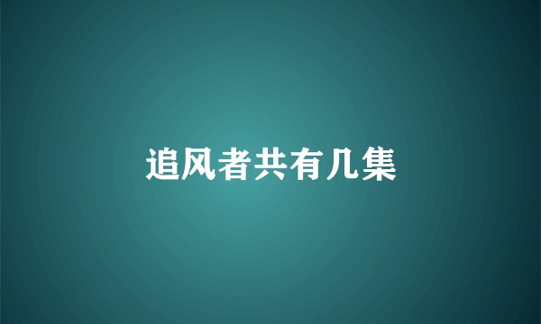 追风者共有几集