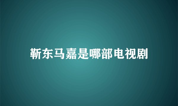 靳东马嘉是哪部电视剧