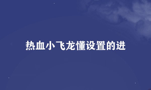 热血小飞龙懂设置的进
