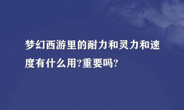 梦幻西游里的耐力和灵力和速度有什么用?重要吗?