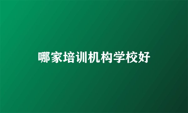 哪家培训机构学校好