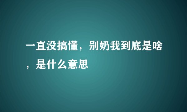 一直没搞懂，别奶我到底是啥，是什么意思