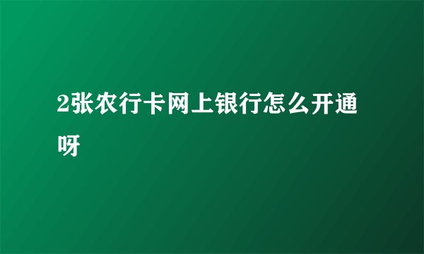 2张农行卡网上银行怎么开通呀