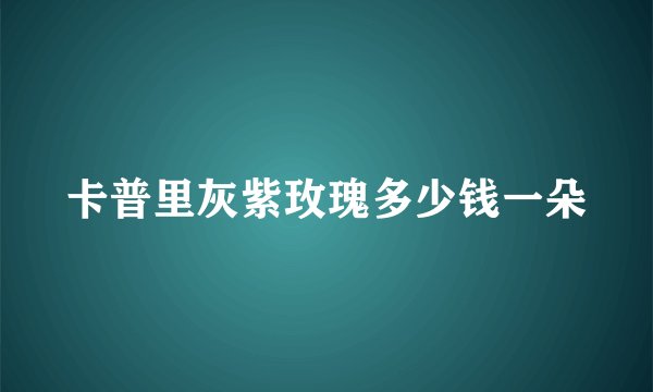 卡普里灰紫玫瑰多少钱一朵