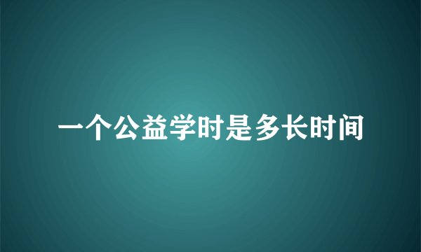 一个公益学时是多长时间