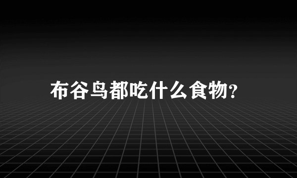 布谷鸟都吃什么食物？
