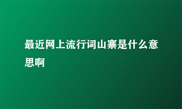 最近网上流行词山寨是什么意思啊