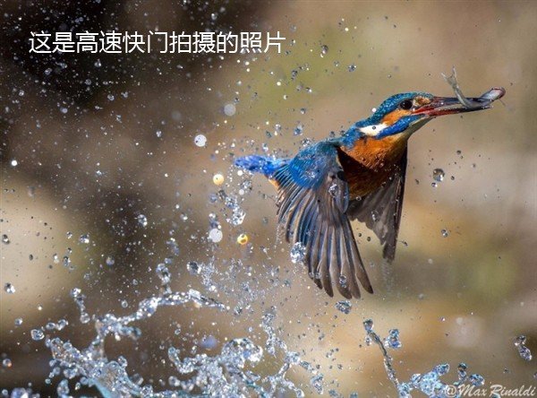 快门速度是什么意思 新手如何选择快门速度