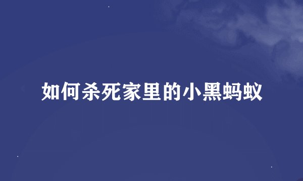 如何杀死家里的小黑蚂蚁