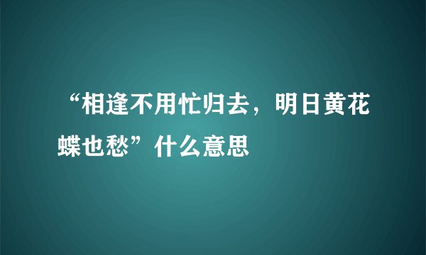 “相逢不用忙归去，明日黄花蝶也愁”什么意思