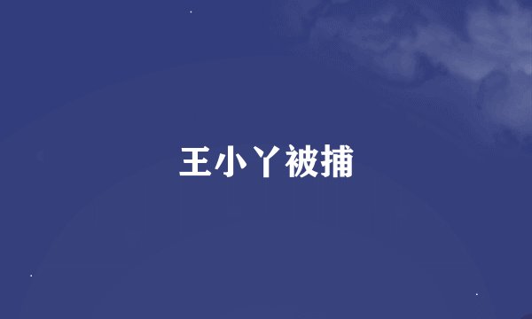 王小丫被捕
