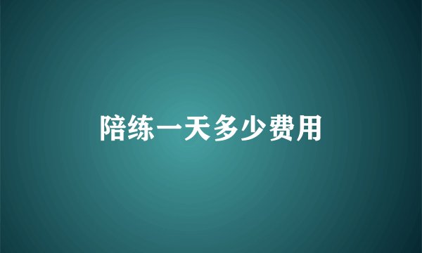 陪练一天多少费用
