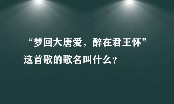 “梦回大唐爱，醉在君王怀”这首歌的歌名叫什么？
