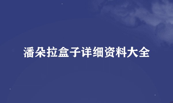 潘朵拉盒子详细资料大全